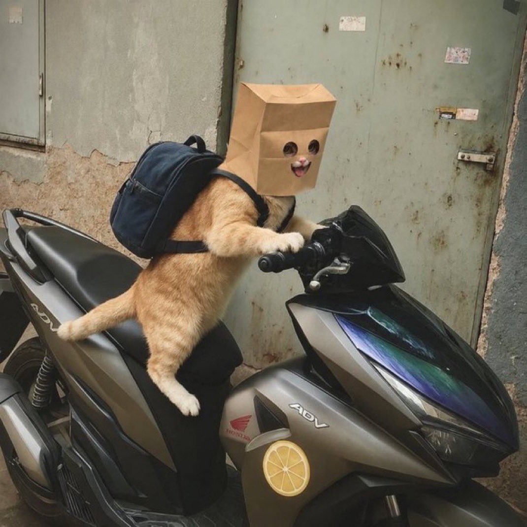 riding the moped