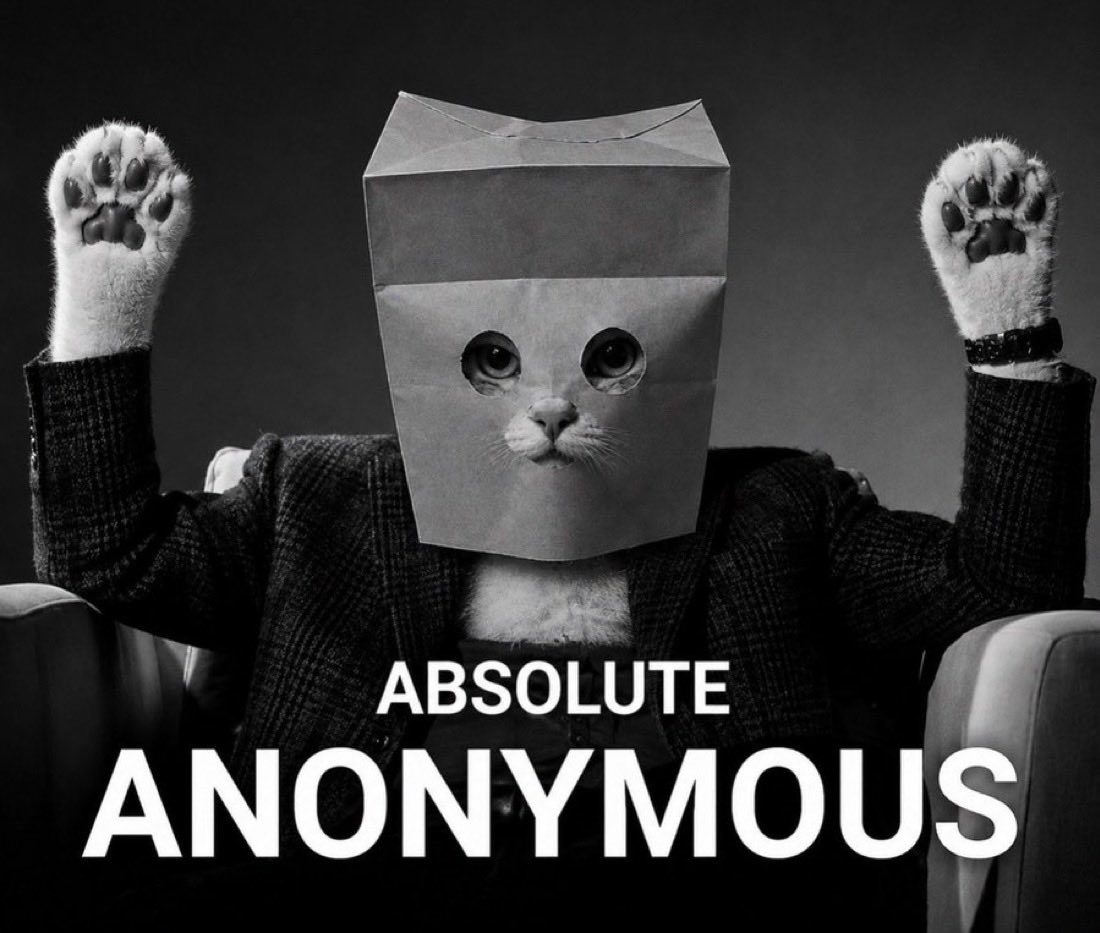 absolute anonymous